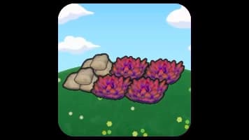 Grassy training field