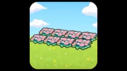 Field of flowers