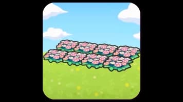 Field of flowers