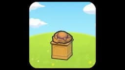 Skull Fossil Display