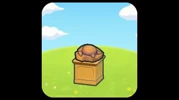 Skull Fossil Display