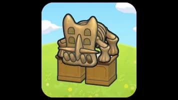 Shield Fossil Display