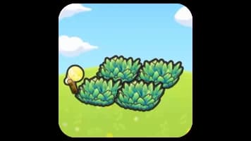 Illuminated tall grass