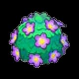 Adorable hedge (purple)