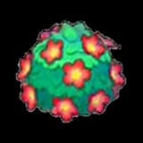 Adorable hedge (red)