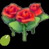 Beautiful-flower seeds