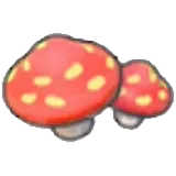 Cave mushrooms (outdoor)