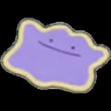 Ditto rug
