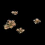 Dry blue-green shoots