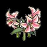 Elegant flower (pink)