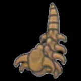 Headbutt Fossil (tail)