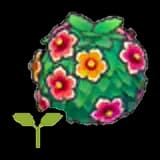 Healthy hedge sapling