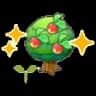 Leppa tree sapling (Grow)