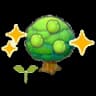 Lum tree sapling (Grow)