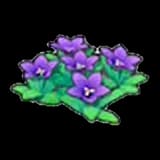 Mountain flowers (purple)