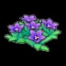 Mountain flowers (purple)