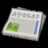 Newspaper