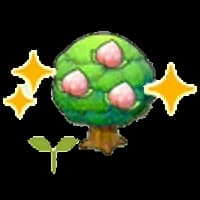 Pecha tree sapling (Grow)