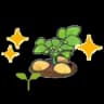 Potato sprout (Grow)
