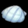 Seashell