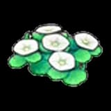 Seashore flowers (white)