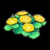 Seashore flowers (yellow)