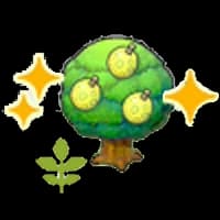 Small Aspear tree (Grow)