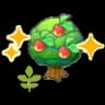 Small Leppa tree (Grow)