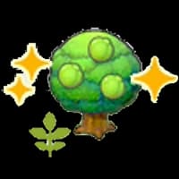 Small Lum tree (Grow)