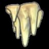 Stalactites