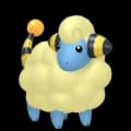 Mareep