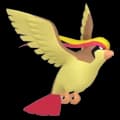 Pidgeot