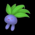 Oddish