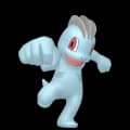 Machop