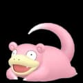 Slowpoke