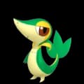 Snivy
