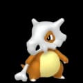 Cubone