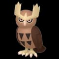Noctowl