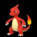 Charmeleon
