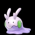 Goomy