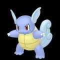 Wartortle