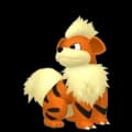 Growlithe