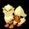 Arcanine