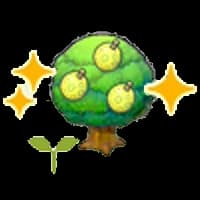 Aspear tree sapling (Grow)