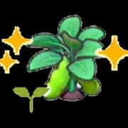 Bean sprout (Grow)