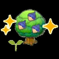 Chesto tree sapling (Grow)