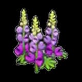 Robust flower (purple)