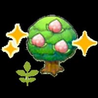 Small Pecha tree (Grow)